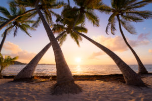 Guadeloupe, France, the Caribbean, island, palms, Caravelle, Anse, beach, dream, paradise, vacation, sun, back light, sunrise, light, shade, scenery, Pointe de'l Accul Guadeloupe, France, the Caribbean, island, palms, Caravelle, Anse, beach, dream, paradise, vacation, sun, back light, sunrise, light, shade, scenery, Pointe de'l Accul